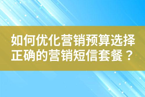 如何優(yōu)化營(yíng)銷(xiāo)預(yù)算選擇正確的營(yíng)銷(xiāo)短信套餐？
