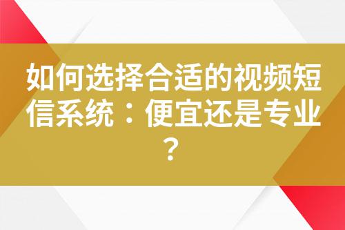 如何選擇合適的視頻短信系統(tǒng)：便宜還是專業(yè)？