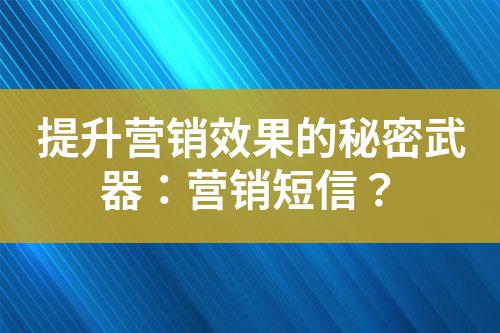 提升營(yíng)銷效果的秘密武器：營(yíng)銷短信？