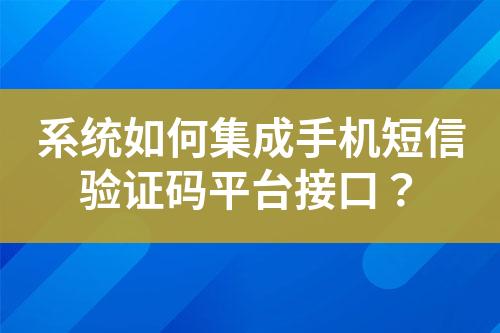 系統(tǒng)如何集成手機(jī)短信驗(yàn)證碼平臺(tái)接口？