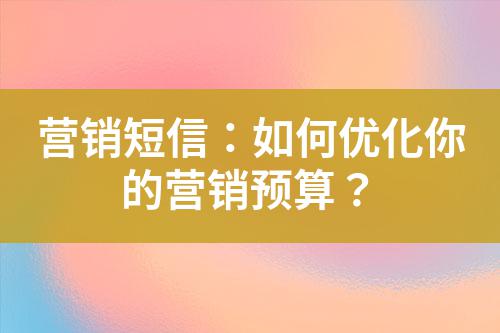 營銷短信：如何優化你的營銷預算？